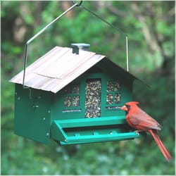 Perky-Pet Squirrel-Be-Gone Wild Bird 8 lb Metal Home Bird Feeder 1 ports