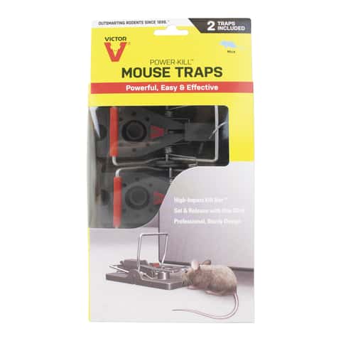  VICTOR Easy Set Mouse Trap - 2Pk : Rodent Traps : Patio, Lawn  & Garden