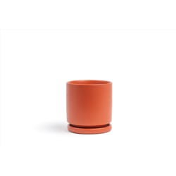 Momma Pots Gemstone Cylinder 4.5 in. W Porcelain Planter Rust