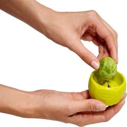 Chef'n Twist'n Sprout Green Plastic Brussel Sprout Prep Tool