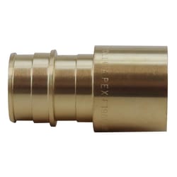 Apollo PEX-A 3/4 in. Expansion PEX in to X 3/4 in. D Female Sweat Brass Adapter