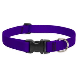 LupinePet Basic Solids Purple Purple Nylon Dog Adjustable Collar
