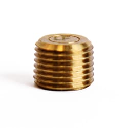 ATC 1/8 in. MPT Brass Counter Sunk Plug