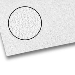 Palram Palclad Pro 96 in. H X 48 in. W Embossed White Wall Panel