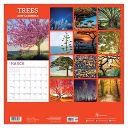 TF Publishing Tree's Calendar Fiber/Paper Laminate 1 pk