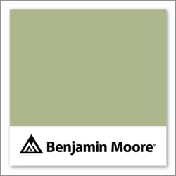 Benjamin Moore Liberty Park 487