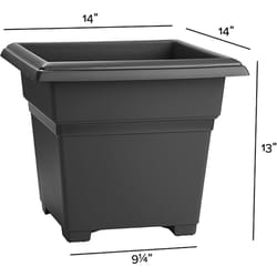 Novelty 13 in. H X 14 in. W X 14 in. D Plastic Countryside Patio Planter Black