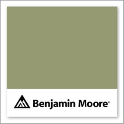 Benjamin Moore Misted Fern 482