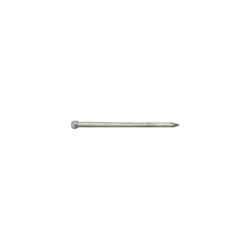 Grip-Rite 12D 3-1/4 in. Finishing Hot-Dipped Galvanized Steel Nail Brad Head 1 lb