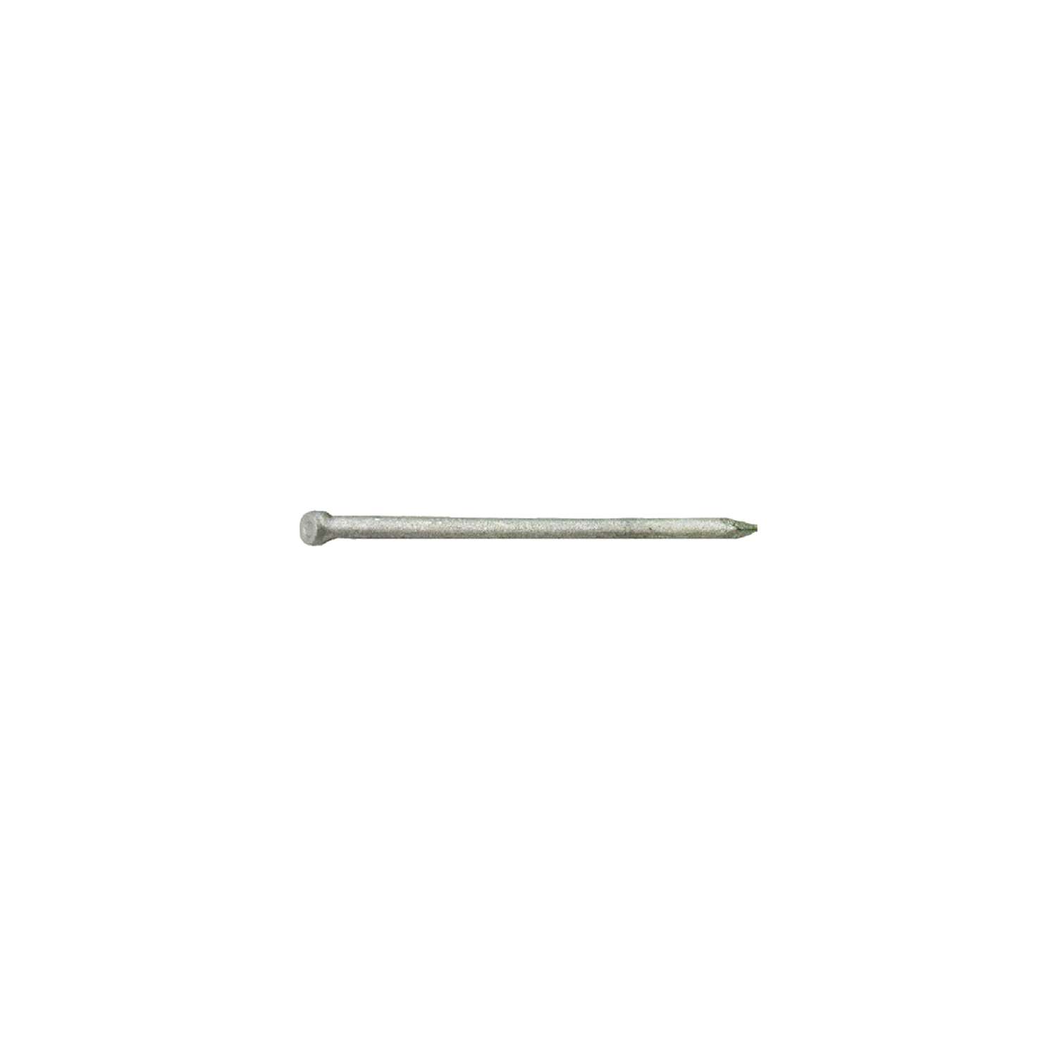 GripRite 12D 31/4 in. Finishing HotDipped Galvanized Steel Nail Brad Head 1 lb Ace Hardware