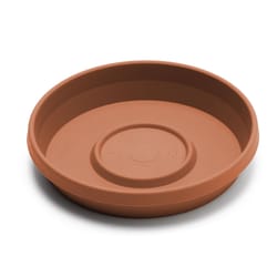 Bloem Terratray 0.7 in. H X 3.75 in. D Resin Traditional Tray Terracotta Clay