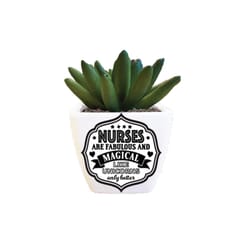 Sentiment Succulents 4 in. H X 2.25 in. L Multicolored Plastic Planter