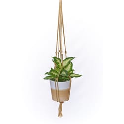 Primitive Planters Tan Macrame 36 in. H Plant Hanger 1 pk