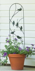 Panacea 40 in. H Black Steel Trellis