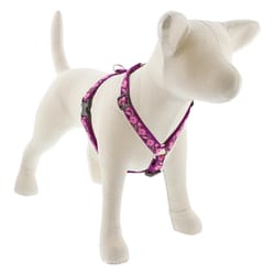 LupinePet Original Designs Multicolored Rose Garden Nylon Dog Harness Small