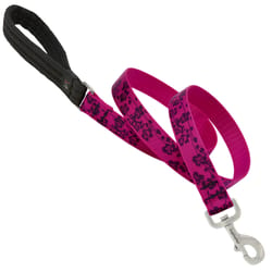 LupinePet Original Designs Multicolor Plum Blossom Nylon Dog Leash
