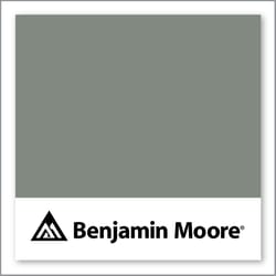 Benjamin Moore Intrigue 1580