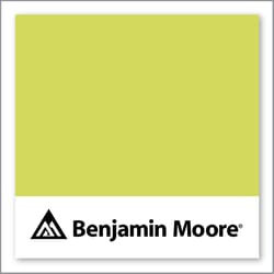 Benjamin Moore Chamomile 397