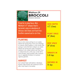 Lake Valley Seed Broccoli Seeds