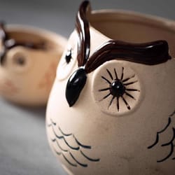 Sullivans Brown Ceramic 6 in. H Owl Planter