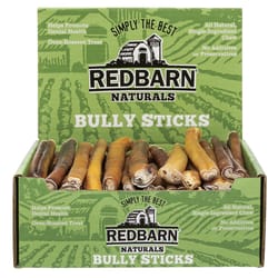 Redbarn Naturals Beef Grain Free Chews For Dogs 12 in. 1 pk