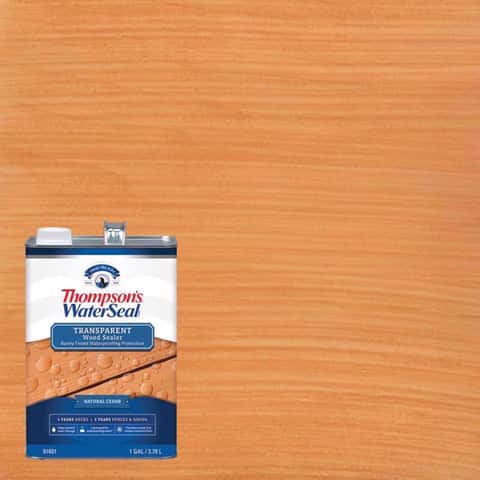 Thompson's WaterSeal Multi-Surface Waterproofer Wood Finish, Clear, 5 Gallon