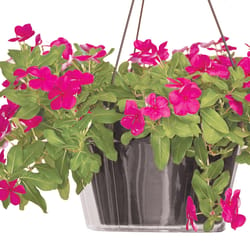 Crescent Too 5 in. H X 10 in. D Polyethylene Hanging Basket Drip Pan Clear