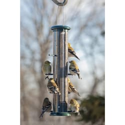 Audubon Finch 2 lb Plastic Thistle Tube Bird Feeder 8 ports