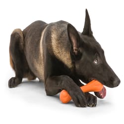 West Paw Zogoflex Orange Plastic Hurley Bone Chew Dog Toy Small in. 1 pk