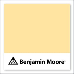 Benjamin Moore Morning Sunshine 2018-50