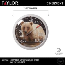 Taylor Bear Dial Thermometer Plastic Multicolored 13.25 in.