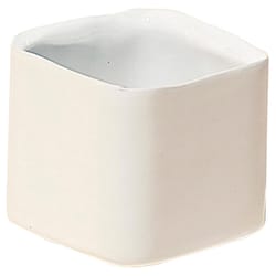 Chive Svek 2.5 in. D Ceramic Succulent Pot White