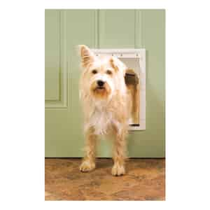 Pet Doors And Gates Ace Hardware