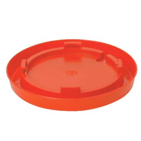 Little Giant Watering Bowl For Game Birds/Poultry - Ace Hardware