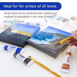 Bazic Products Satin Assorted Water-Based Acrylic Paint Set Interior 0.4 oz
