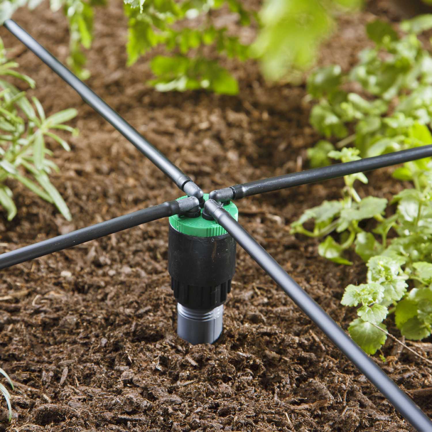 Raindrip Drip Irrigation Bubbler Ace Hardware