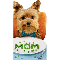 Avanti Press Seasonal Dog Spells Mom with Peas Mother's Day Card Paper 2 pc