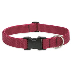 LupinePet Eco Berry Berry Recycled Plastic Dog Adjustable Collar