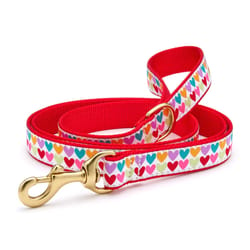 Up Country Multicolored Pop Hearts Nylon Dog Leash