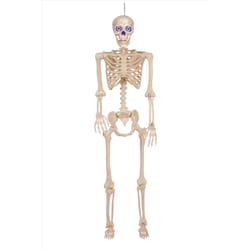 Seasons Multicolored 2 ct 60 in. LED Skeleton Halloween Decor