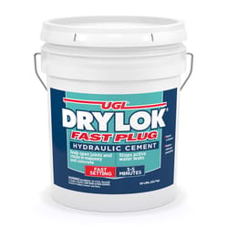 Drylok Fast Plug Hydraulic Cement 50 lb Gray