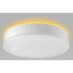 ETI 3.2 in. H X 11 in. W X 11 in. L White LED Ceiling Light Fixture