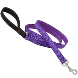 LupinePet Original Designs Multicolor Jelly Roll Nylon Dog Leash