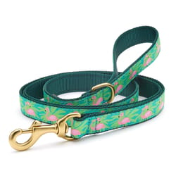 Up Country Green Flamingo Nylon Dog Leash