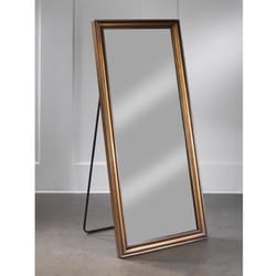 Tripar 55.2 in. H X 24 in. W Burnished Gold Metal Floor Mirror