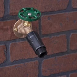 Raindrip 3/4 in. Drip Irrigation Pressure Regulator 1 pk