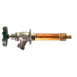 Arrowhead 1/2 in. PEX MIP Anti-Siphon Brass Wall Hydrant