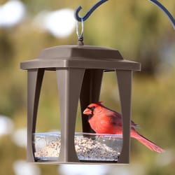 Nature's Way 4 cups Plastic Dine-in Hanging Bird Feeder