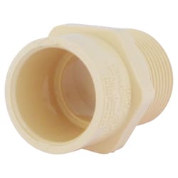 Charlotte Pipe FlowGuard Schedule 40 3/4 in. Socket X 3/4 in. D MNPT CPVC Adapter 1 pk