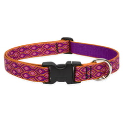 Lupine Pet Original Designs Multicolor Alpen Glow Nylon Dog Adjustable Collar